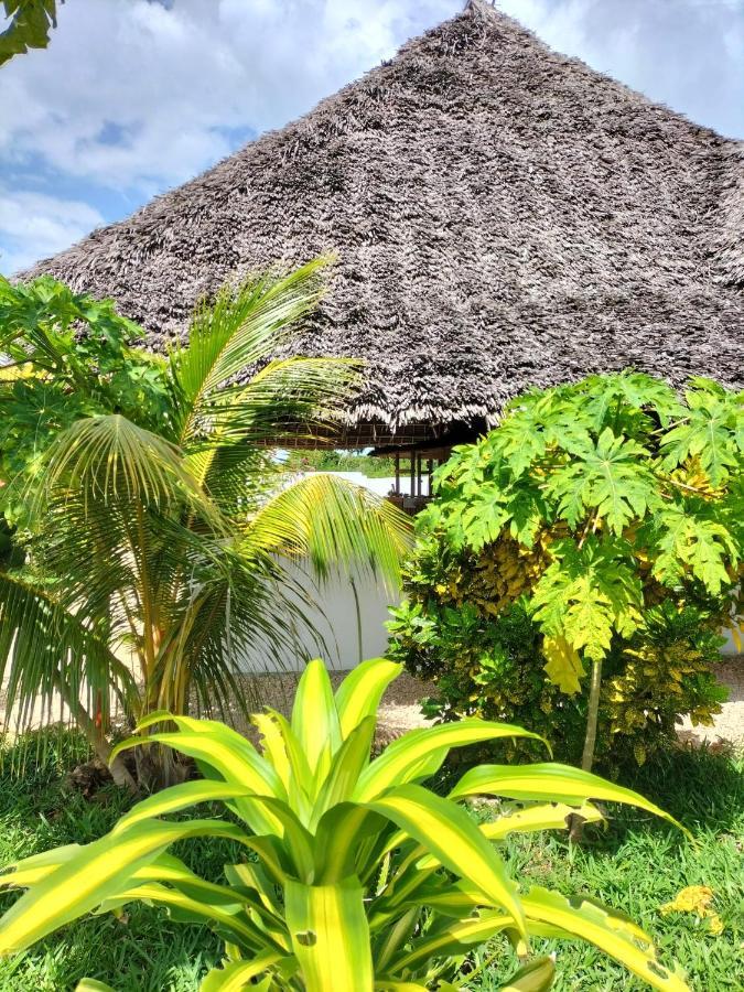 Kendwa Carletto Style Bed & Breakfast Ngoại thất bức ảnh