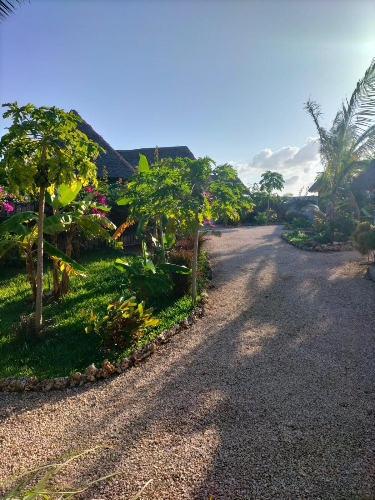 Kendwa Carletto Style Bed & Breakfast Ngoại thất bức ảnh