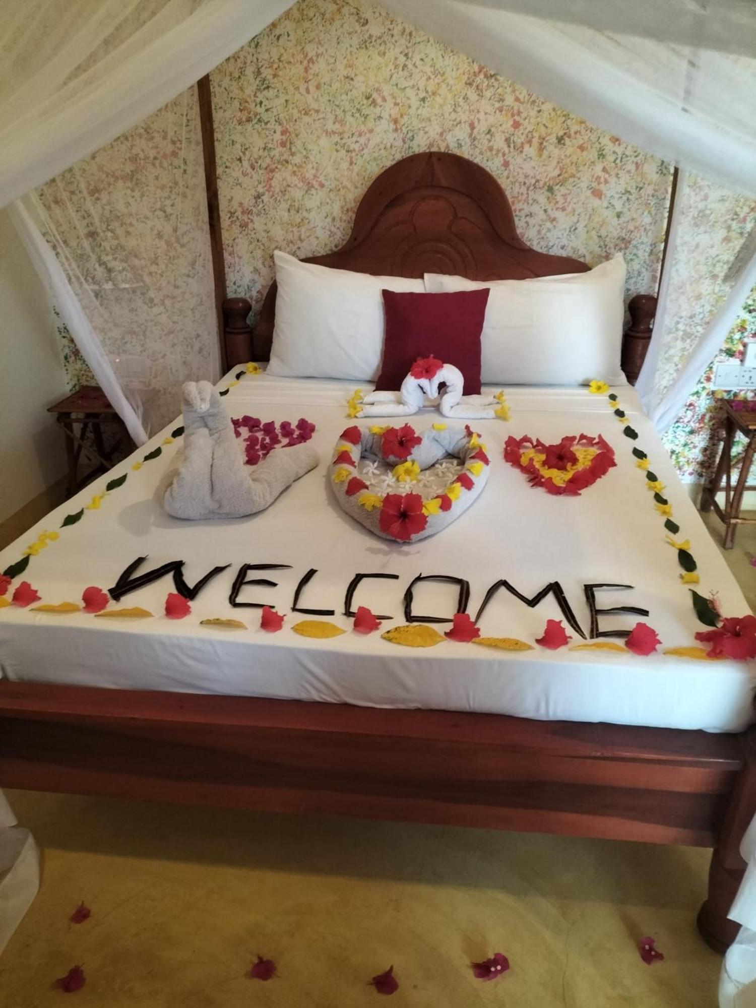 Kendwa Carletto Style Bed & Breakfast Ngoại thất bức ảnh