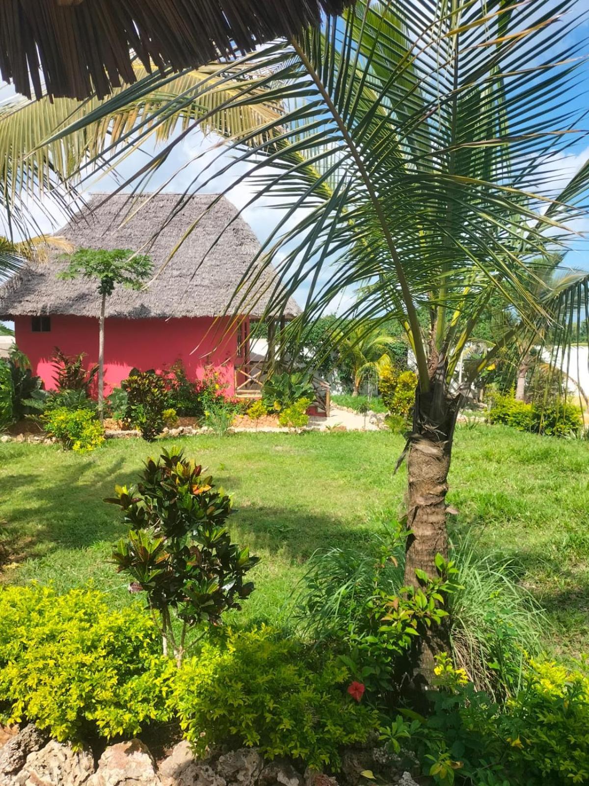 Kendwa Carletto Style Bed & Breakfast Ngoại thất bức ảnh