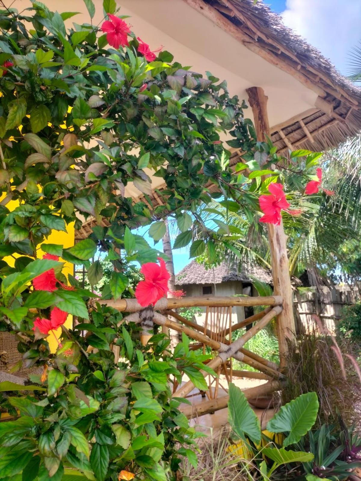 Kendwa Carletto Style Bed & Breakfast Ngoại thất bức ảnh